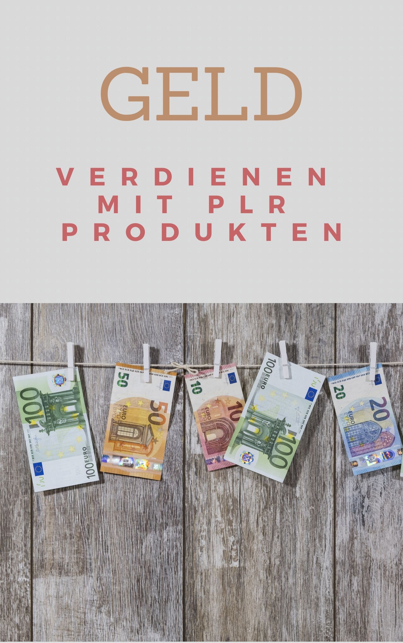 4 Euro Report eBook Geld verdienen Internet PLR-Lizenz Web Projekt Shop Domain 